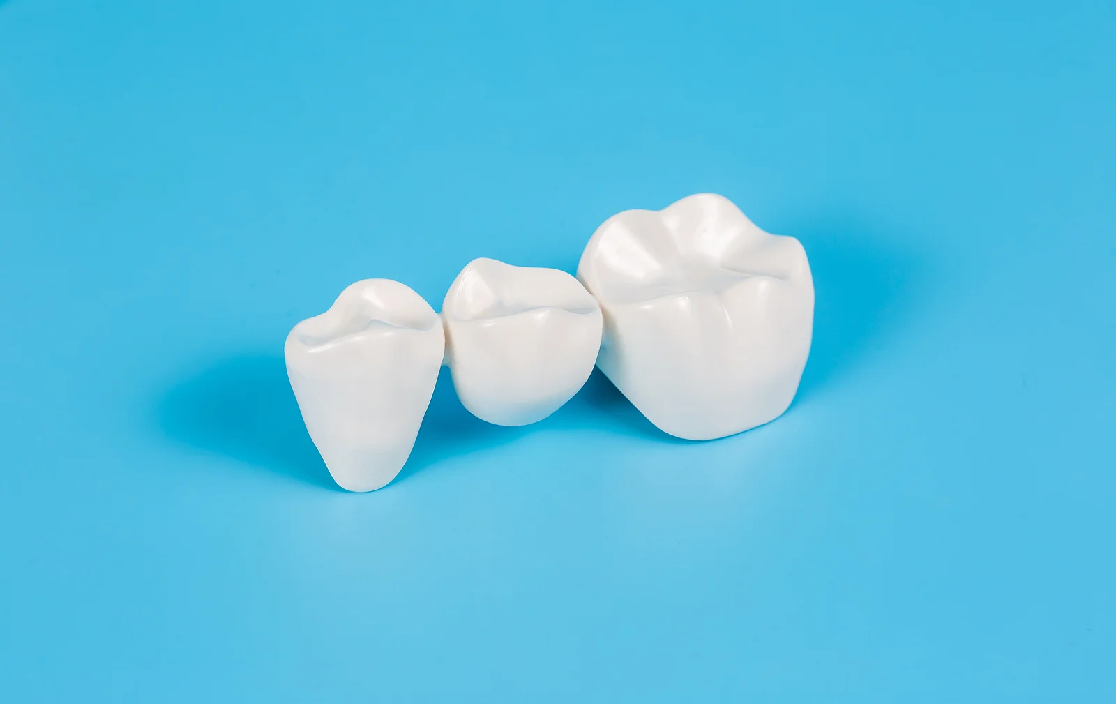 Dentistry Twin Falls ID Dental Crown Dummy